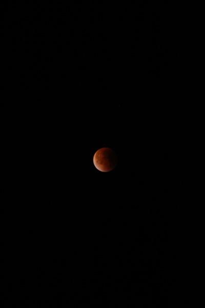 D_20150928-052138 IMG_0542.jpg